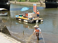 The citizens volunteer spreading EM over rivers for purification.