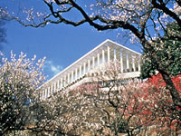 The picture of Worship Hall from the Plum Tree Garden